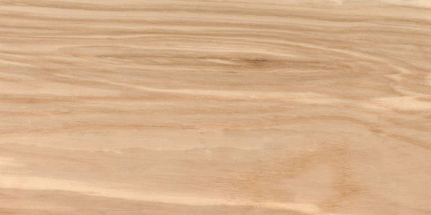 American Ash Benchtops - Timber Species - WR Timbers