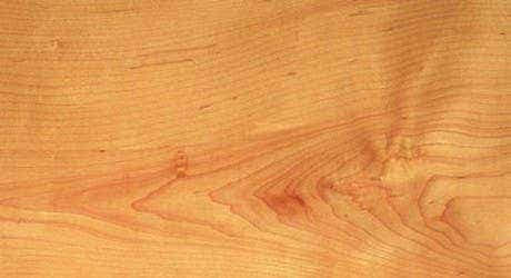 American Rock Maple Benchtops - Timber Species - WR Timbers