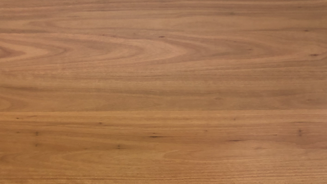 Blackbutt Timber Benchtops - Timber Species - WR Timbers