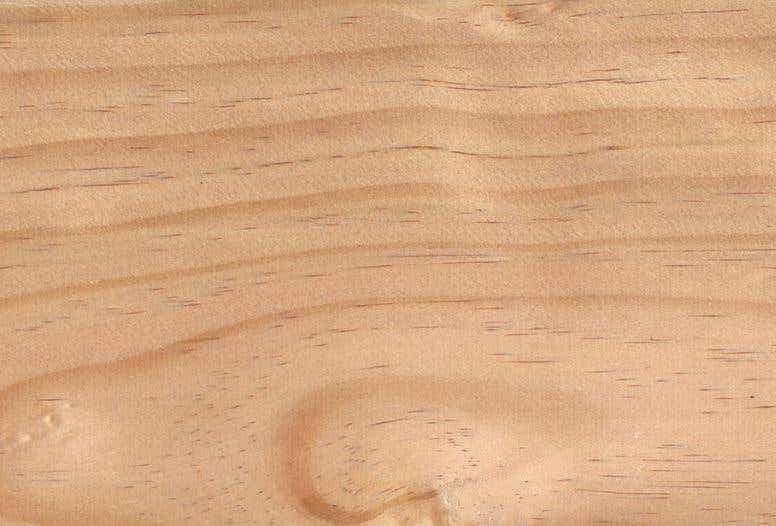 Radiata Pine Timber Benchtops - Timber Species - WR Timbers