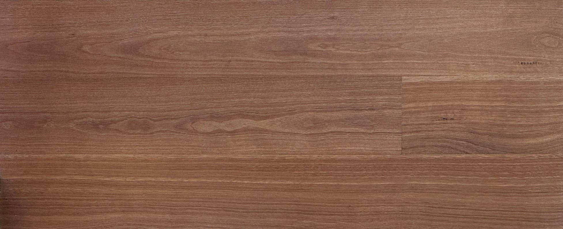 Sydney Blue Gum Timber Benchtops - Timber Species - WR Timbers