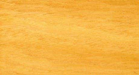 Victorian Ash Timber Benchtops - Timber Species - WR Timbers